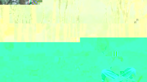 mmexport1618281239104.jpg